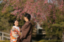 桜開花!