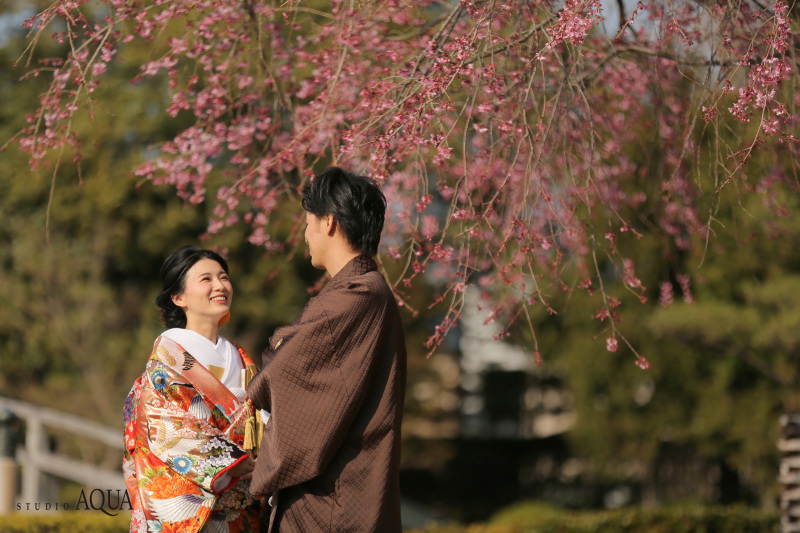 桜開花!