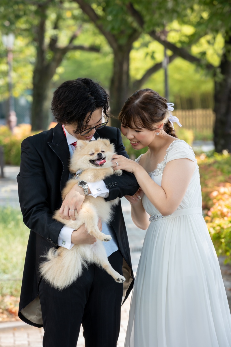 愛犬と一緒に浅草周遊