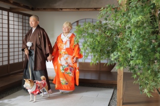 スタジオで柴犬と!