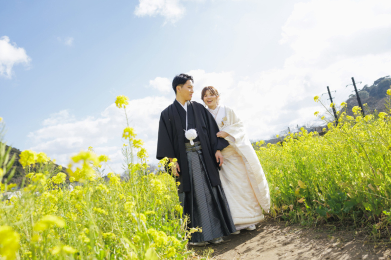 2026年の河津桜ロケーション