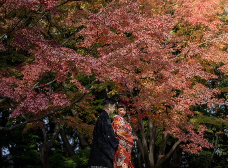 紅葉ロケに行ってきました!