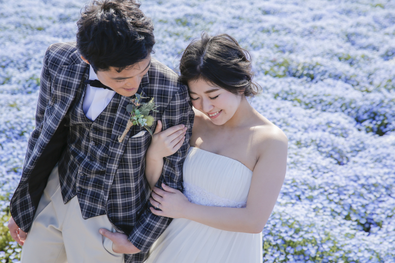 ネモフィラ満開 ひたち海浜公園