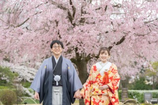 花田苑ロケーション【桜】