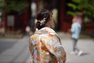 和装浅草　〜淡い色打掛&times;ゆるっとシニヨン〜