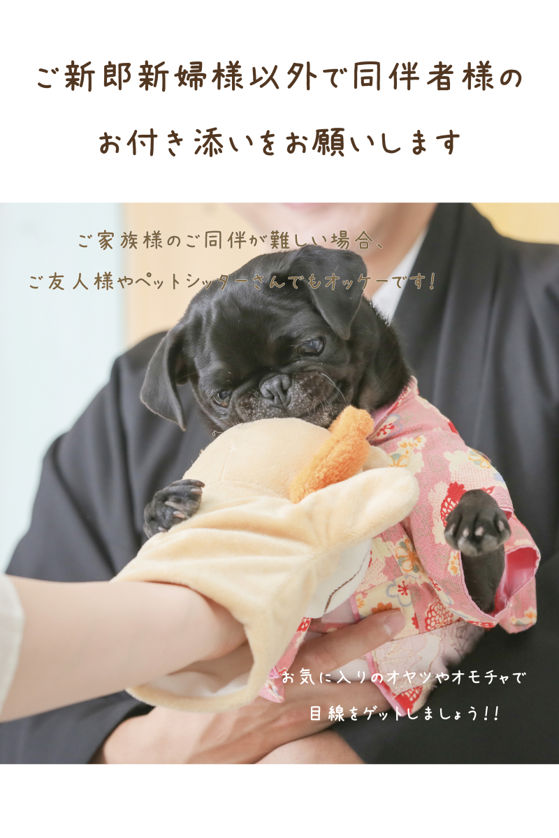 ペット撮影時のお願い