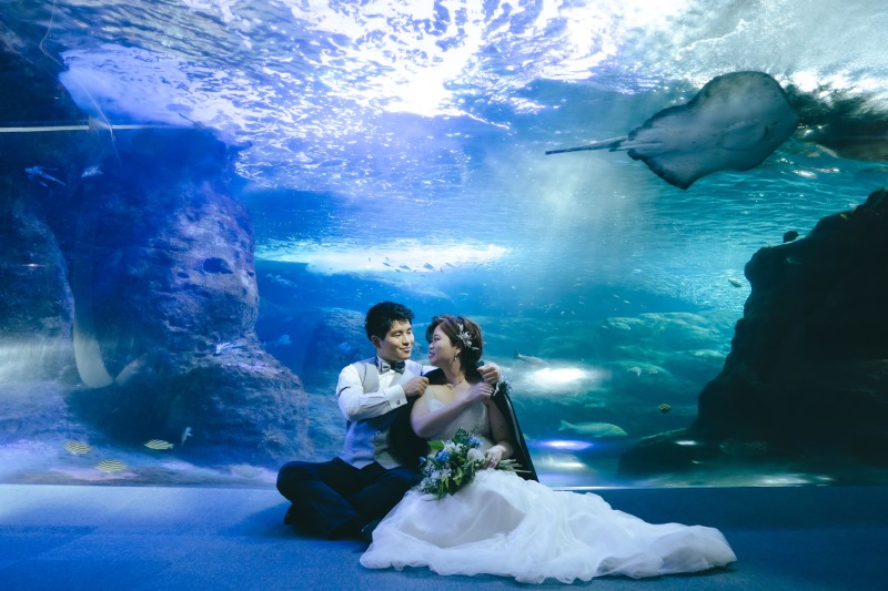 新江ノ島水族館