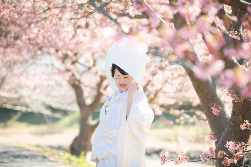 河津桜のシーズンがまもなく、、