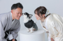 ペットと撮れる結婚写真ご相談会実施中！！