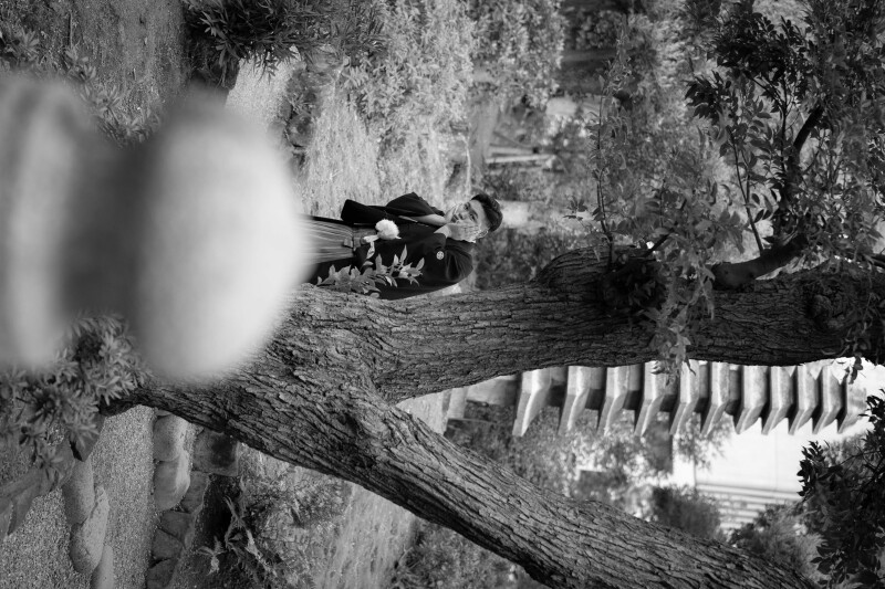 緑に囲まれた旧安田庭園ロケーション