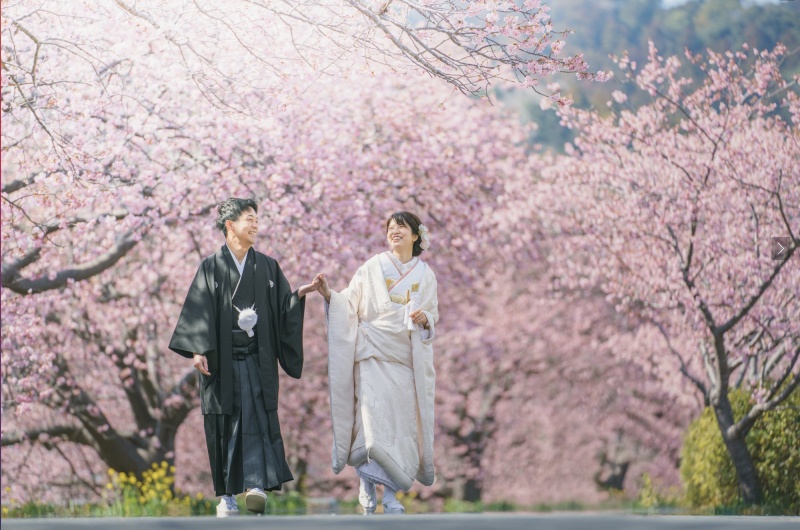 2023年 河津桜先行予約スタート！！！