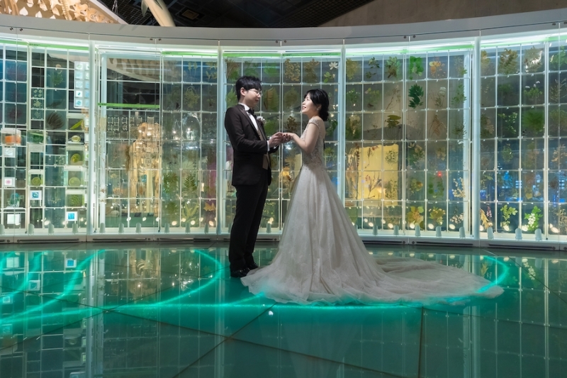 東京科学博物館の撮影