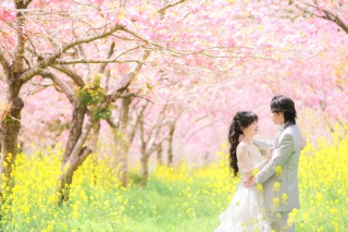 早咲きの河津桜ロケーション【ご予約始まっています!!】