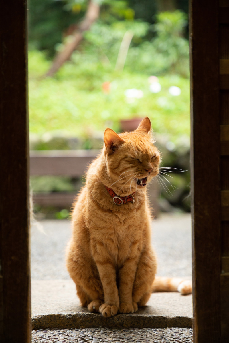 秋霖の久良岐能舞台