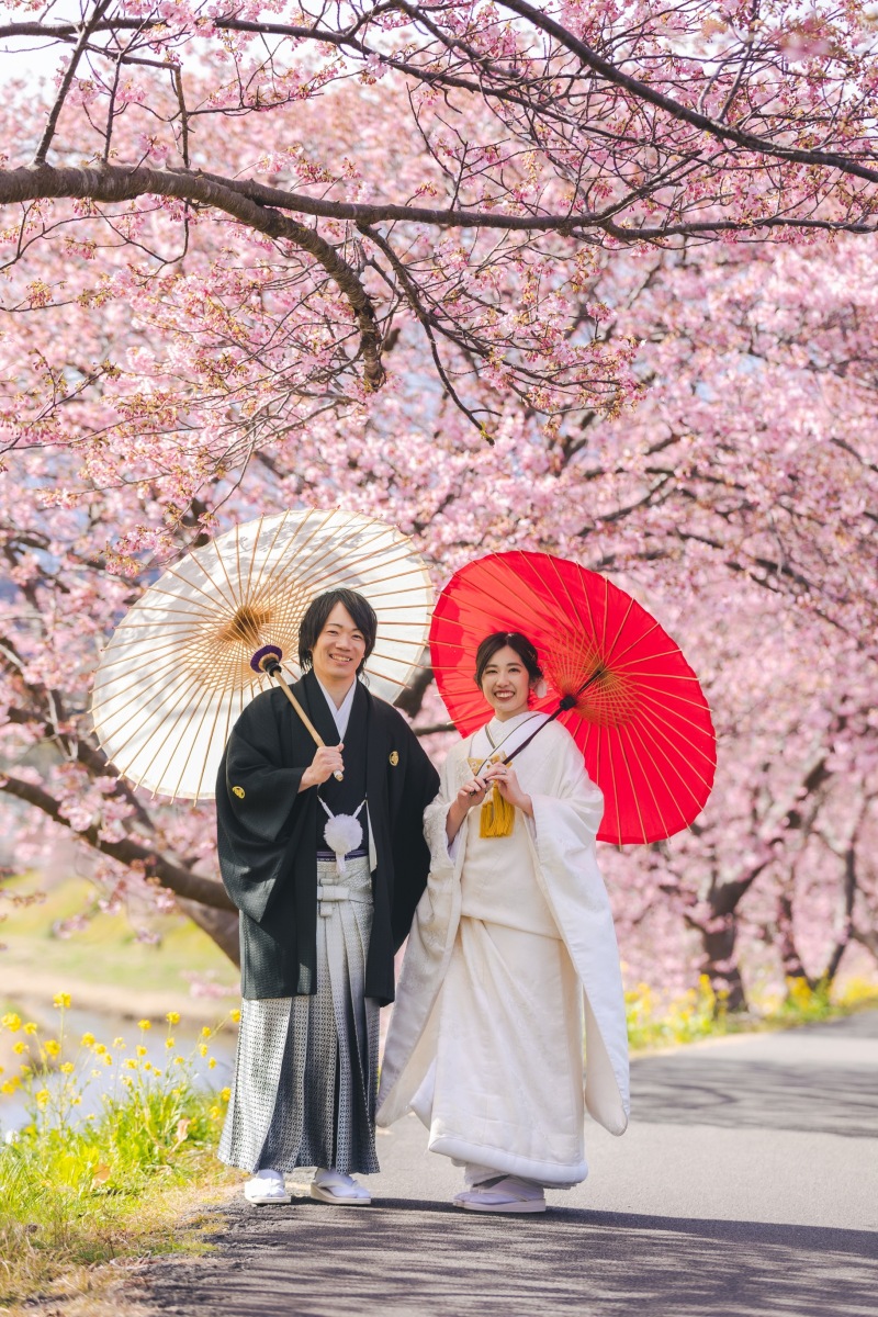 河津桜