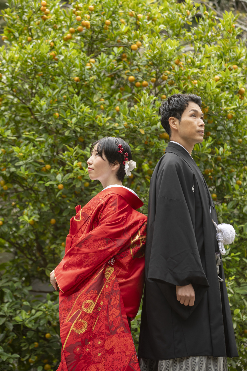 緑豊かな妙本寺で赤無垢を