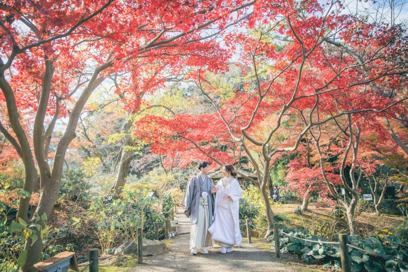 紅葉撮影残り空き僅かです！！【三渓園】