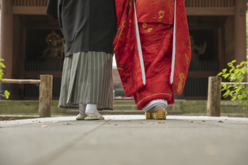 緑豊かな妙本寺で赤無垢を
