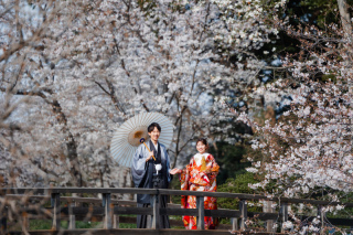 春の光が差し込む美しい三渓園