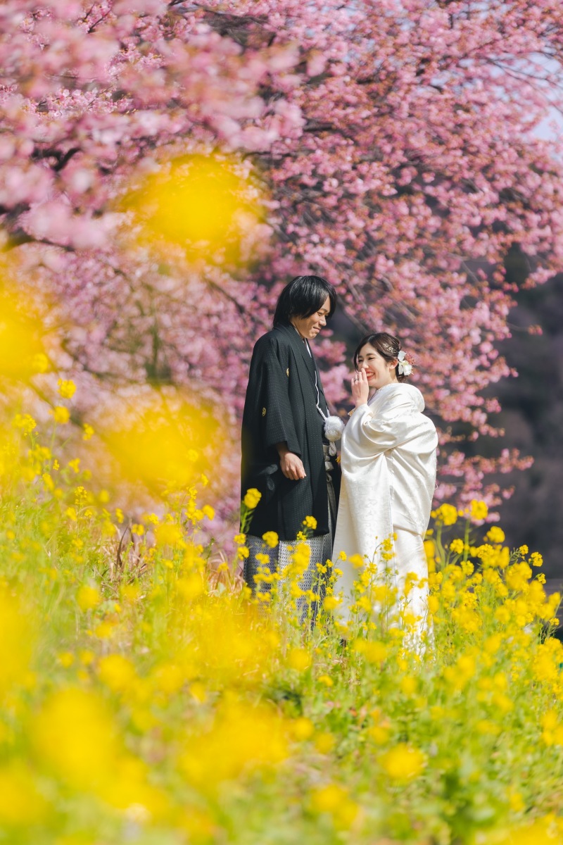 河津桜