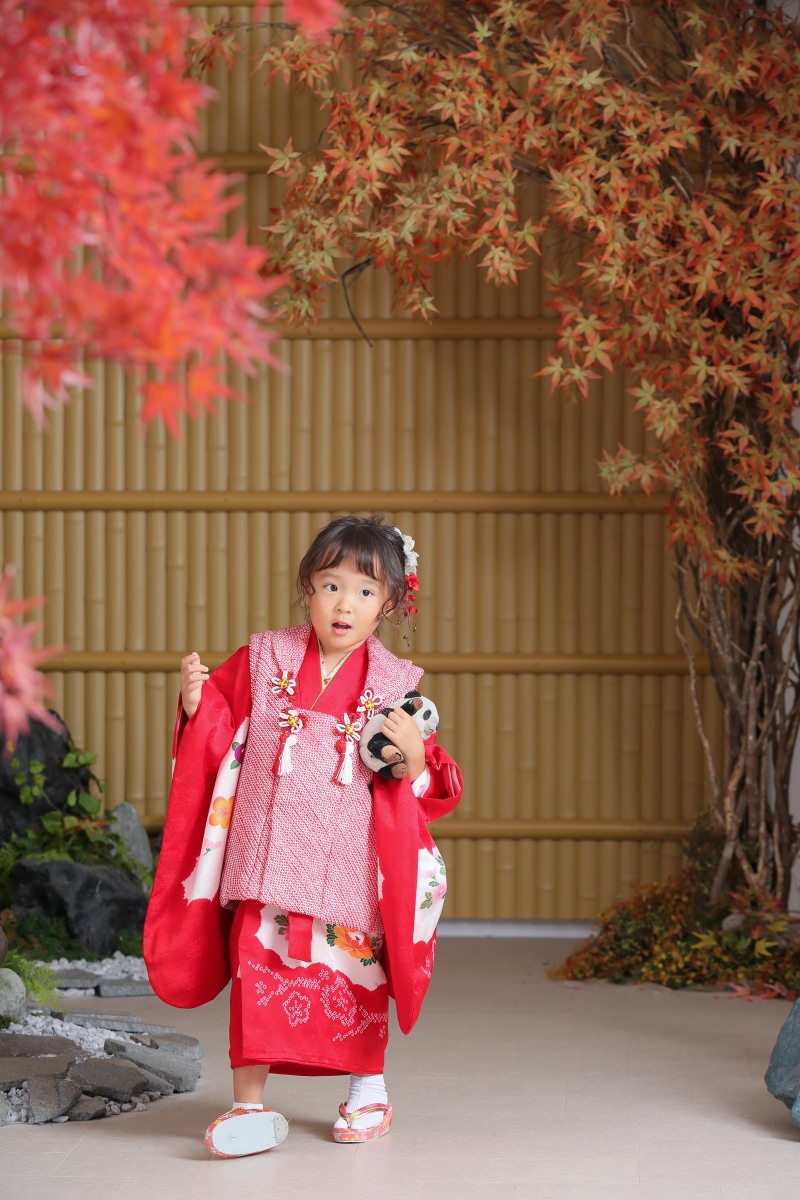 これからの紅葉の季節に！【屋内庭園スタジオ】