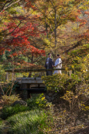 撮れたて！三渓園ロケーション！