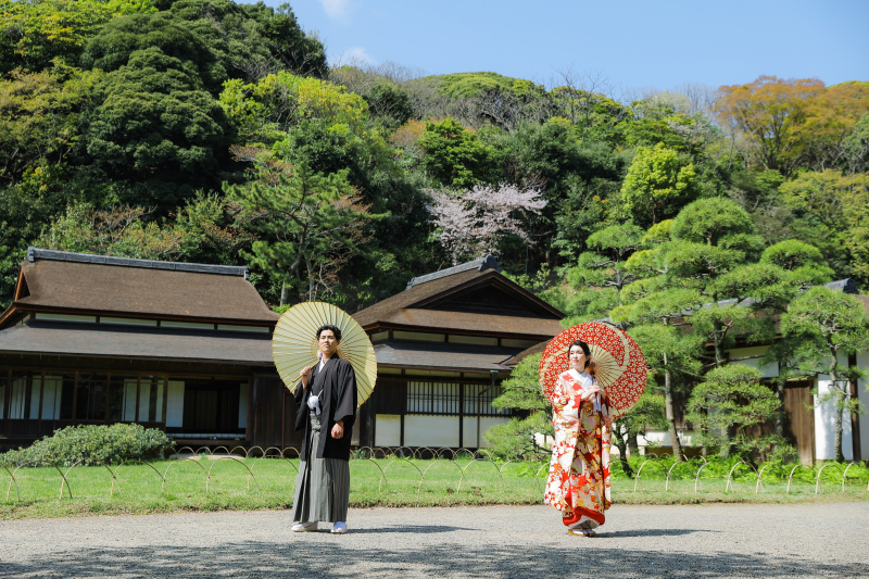 桜日和