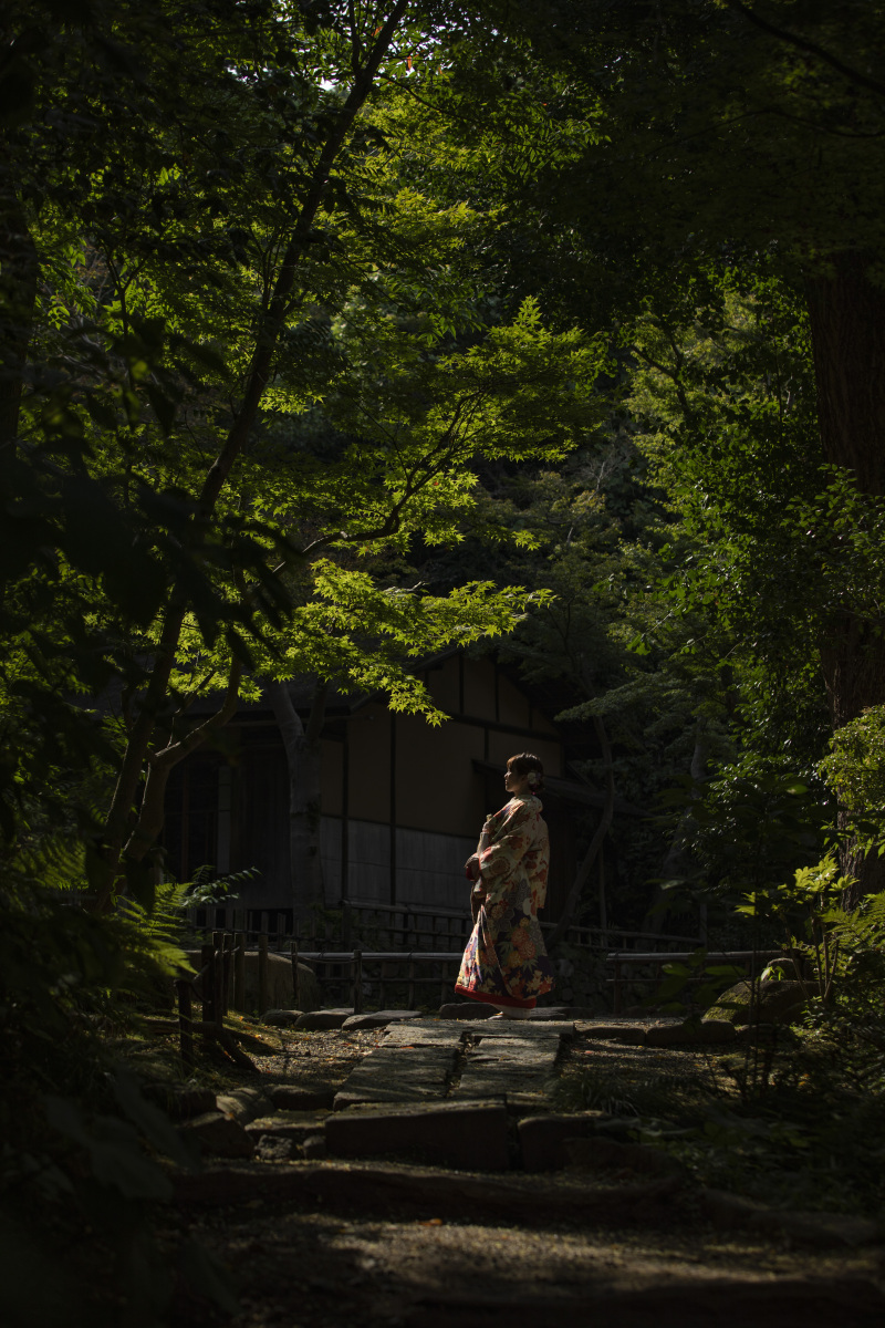 真夏の三溪園