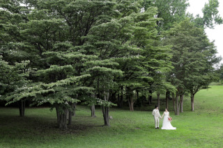 広大な緑に包まれて