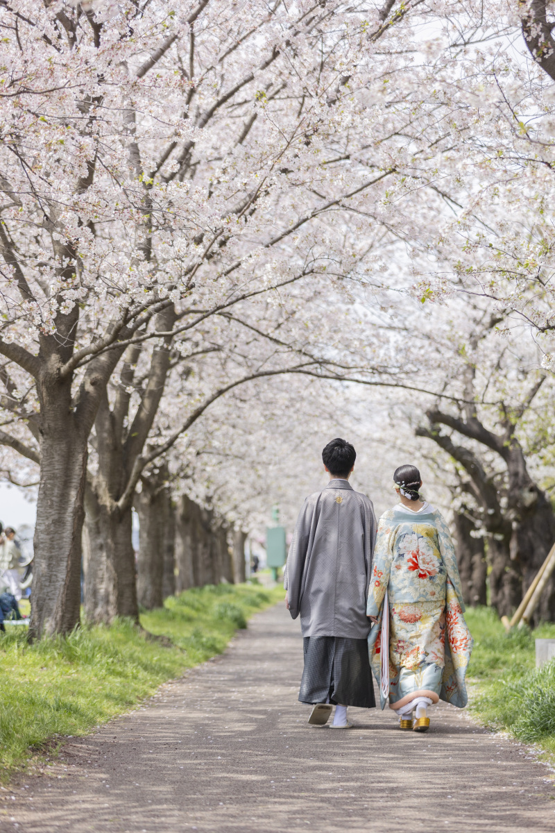 【桜に囲まれて】和装ロケーション