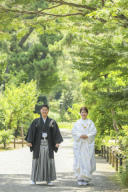 本日は初夏の三渓園のご紹介です。