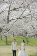 美しい春の富士をご紹介♪