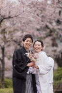 雨の日も風情のある桜ロケーション