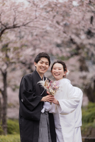 雨の日も風情のある桜ロケーション