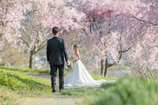 今年も軽井沢ロケ受付中!【桜ロケもやってます!】
