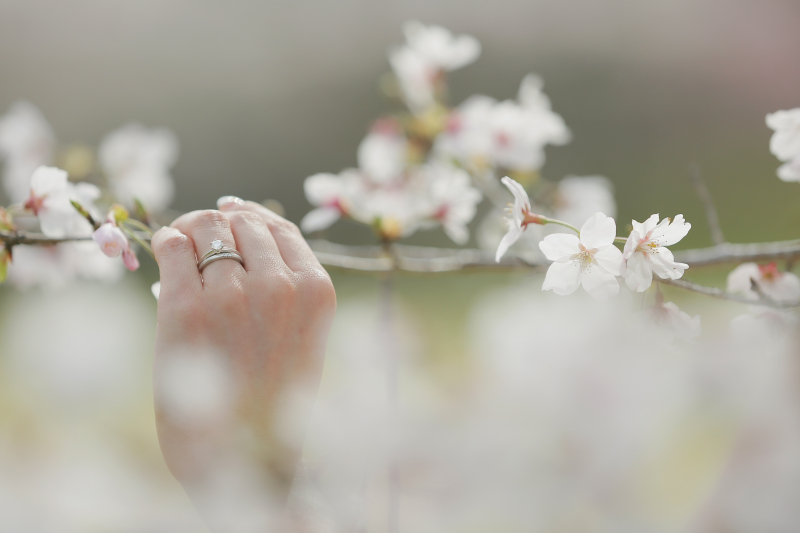 美しい春の富士をご紹介♪