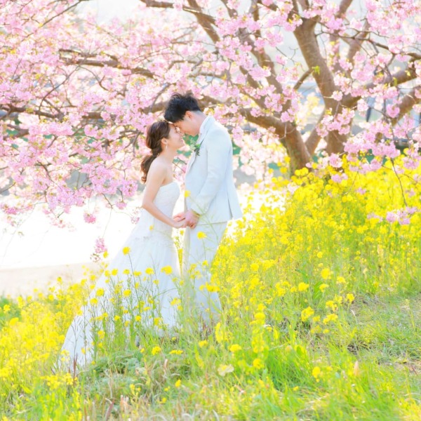 ❀【期間限定‼️】2022年河津桜ロケーション ❀