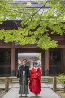 緑豊かな妙本寺で赤無垢を