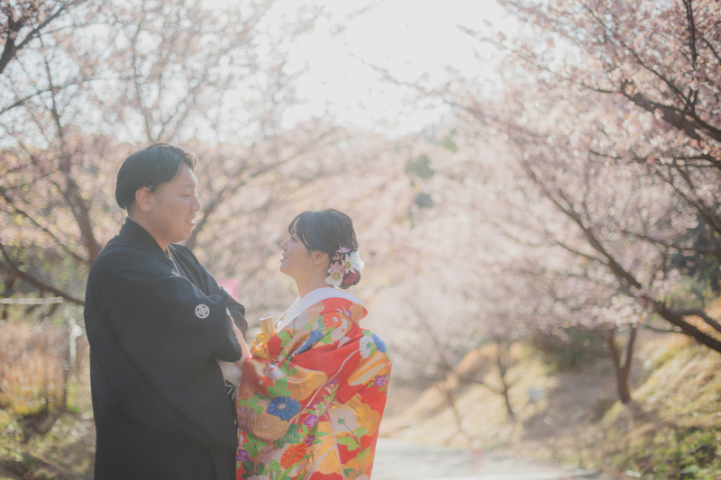 春の訪れを、伊豆の桜と共に。