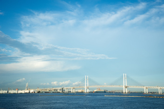 大桟橋でウェディング撮影！