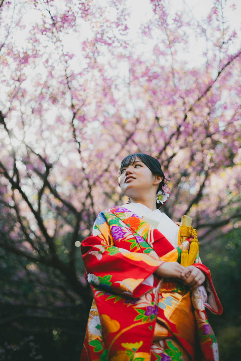 春の訪れを、伊豆の桜と共に。