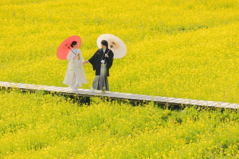河津桜