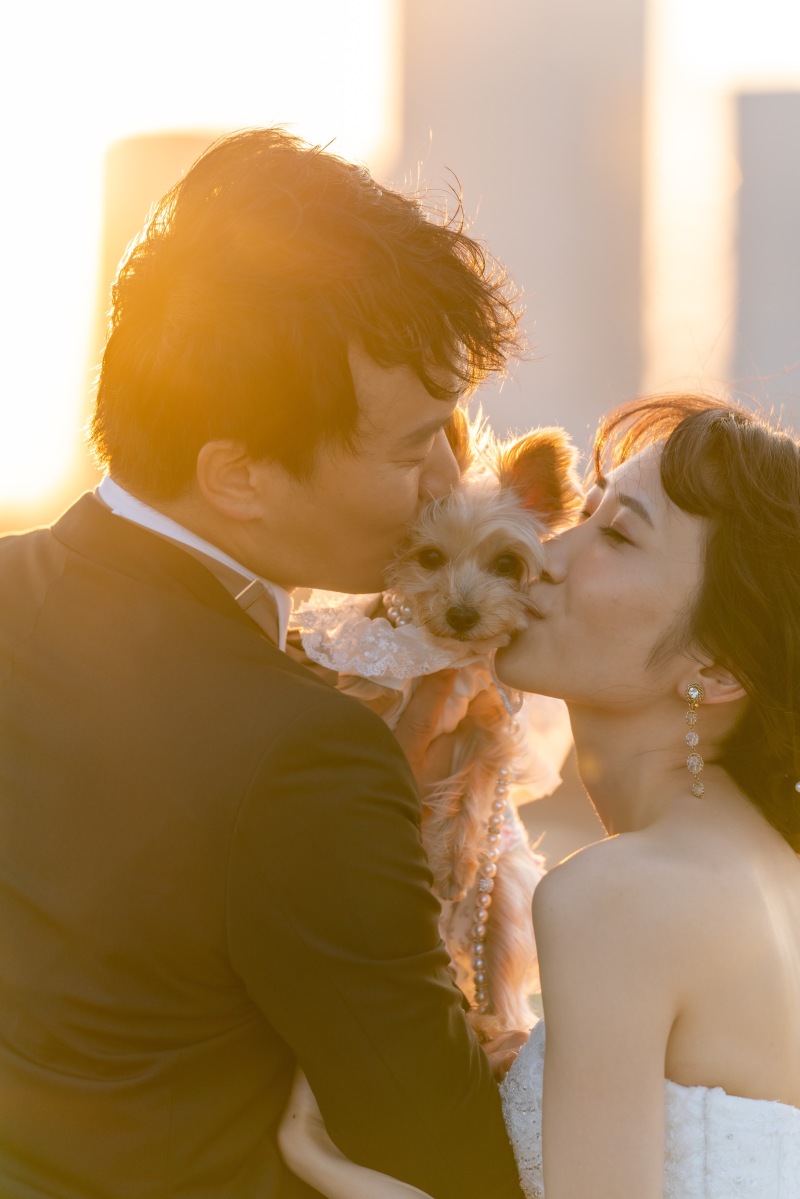 ワンちゃんと一緒に