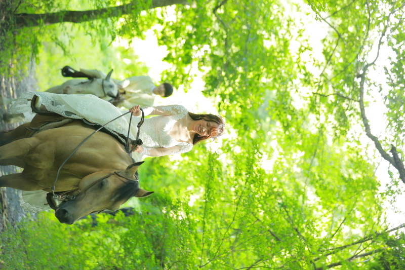 乗馬撮影のご案内♪