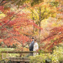 【紅葉】ご予約はじまっております!!