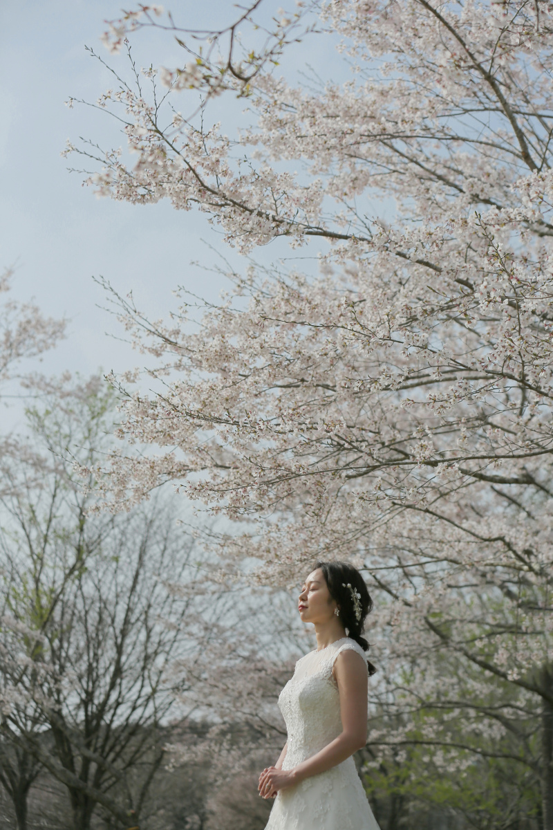 美しい春の富士をご紹介♪