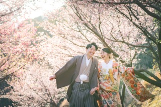 【桜の季節】本州で最初に咲く桜、とその近くの海。