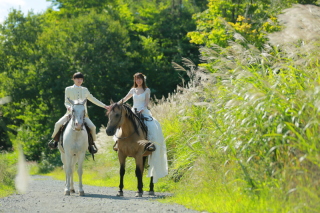 乗馬撮影のご案内♪