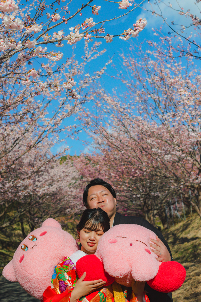 春の訪れを、伊豆の桜と共に。