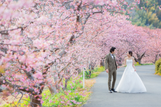 【河津桜ロケ2025 空き枠ご案内】